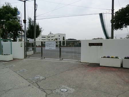 ���ӊ��@-