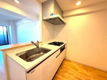 �L�b�`���@�Ƒ��̗l�q�����Ȃ���Ǝ���i�߂���ΖʃL�b�`��