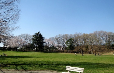 ���ӊ��@-