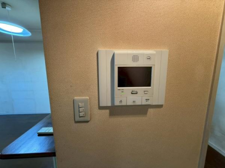 ���̑����ρ@�e���r���j�^�[�t���C���^�[�t�H��