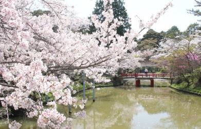 ���ӊ��@-