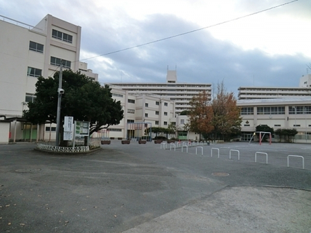 ���ӊ��@-