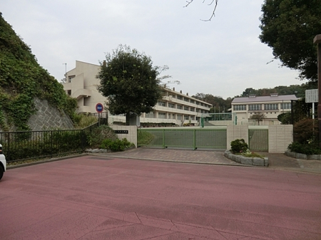 ���ӊ��@-