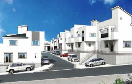 ���n�O�ώʐ^�@�S�̊O�σp�[�X