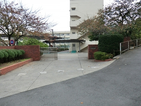 ���ӊ��@-