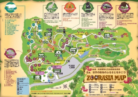 ���ӊ��@-