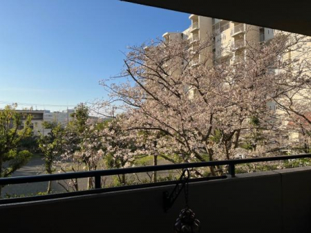 �o���R�j�[�@-