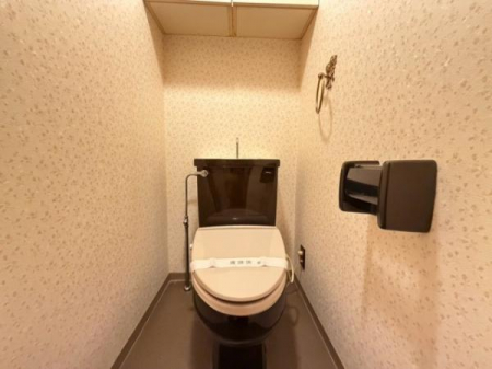 �g�C���@-