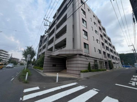 ���̑����n�@�^�C������̍������̂��闎����������ۂ̊O�ρB�p�n�Ȃ�ł͂̊J���������͂̕����ł��B