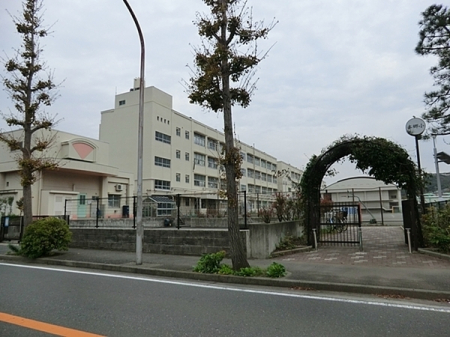 ���ӊ��@-